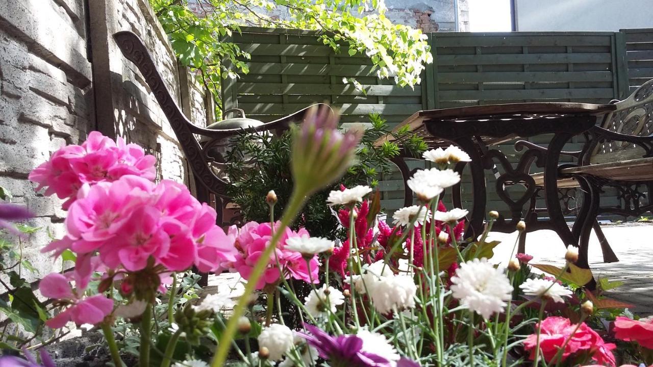 Apartamenty Krzywe Okna Zielona Gora  Luaran gambar